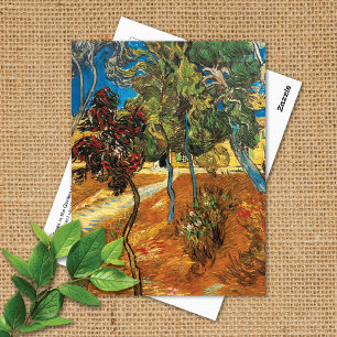Cartão Postal Árvores Garden Asilo Vincent van Gogh