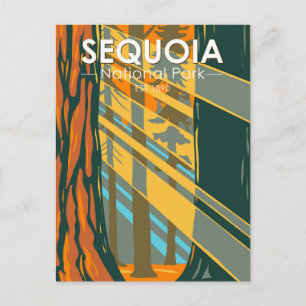 Cartão Postal Árvores Gigantes do Parque Nacional Sequoia