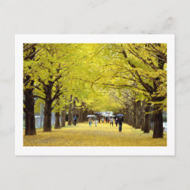 Cartão Postal Árvores Ginkgo: Parque Showa Kinen, Tóquio