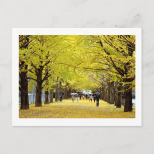 Cartão Postal Árvores Ginkgo: Parque Showa Kinen, Tóquio