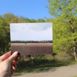 Cartão Postal Árvores Naturais do Meio Oeste do Céu Centro-Oeste