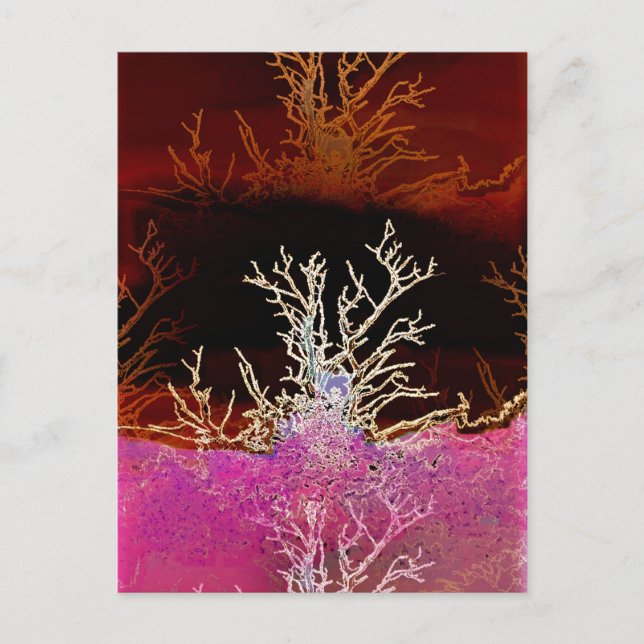 CARTÃO POSTAL ÁRVORES PARA INVERNO (Frente)