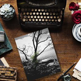 Cartão Postal Árvores Pretas E Brancas Com Vinhas Verde