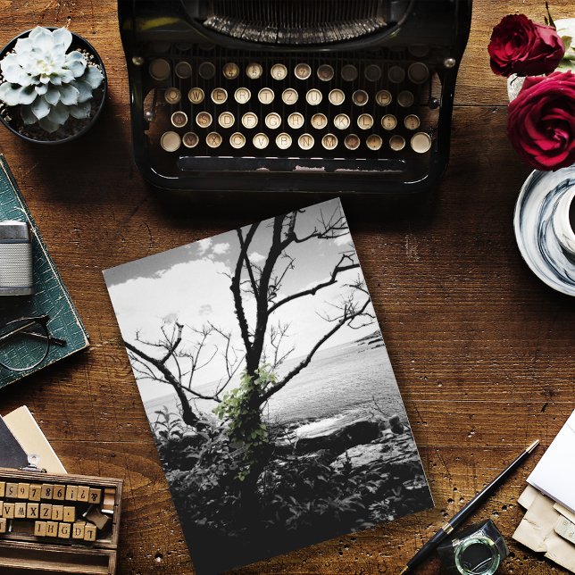 Cartão Postal Árvores Pretas E Brancas Com Vinhas Verde (Criador carregado)