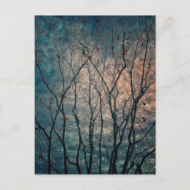Cartão Postal Árvores Spooky