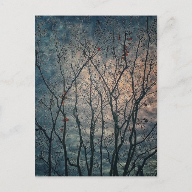 Cartão Postal Árvores Spooky (Frente)