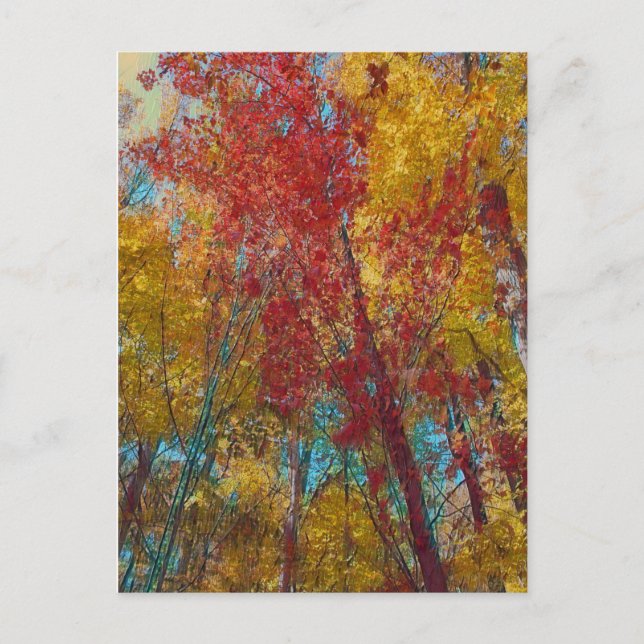 Cartão Postal Árvores Teais e Douradas (Frente)