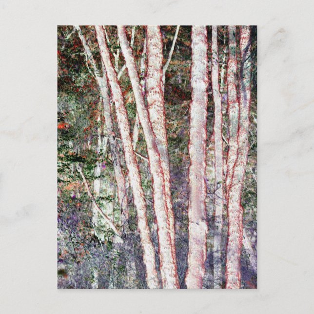Cartão Postal Árvores Vermelhos (Frente)