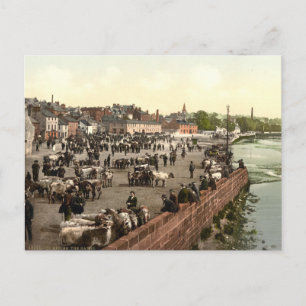 Cartão Postal As areias, os lixos, a Escócia