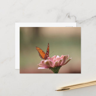 Cartão Postal As Asas — Cartão-postal da Borboleta