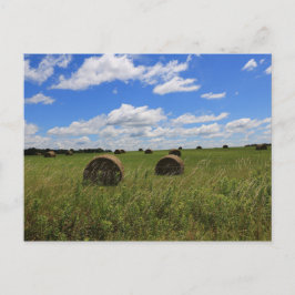 Cartão Postal As Balas do Verão