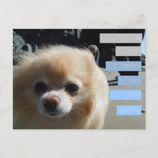 Cartão Postal As citações de Winnie