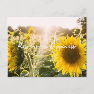 Cartão Postal As citações "flores do girassol são felicidade