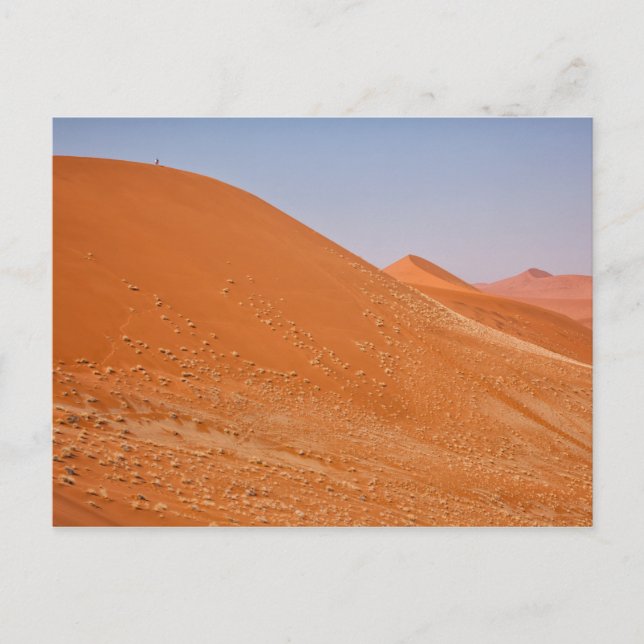 Cartão Postal As dunas vermelhas de Sossusvlei (Frente)
