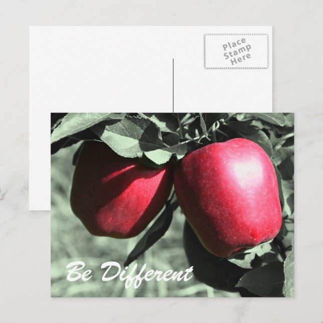 Cartão Postal As Maçãs Vermelhas São Cartão-Postal Inspiracional (Frente/Verso)