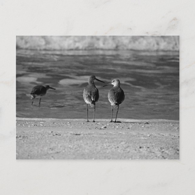 Cartão Postal As melhores coisas na vida são gratuitas (Frente)