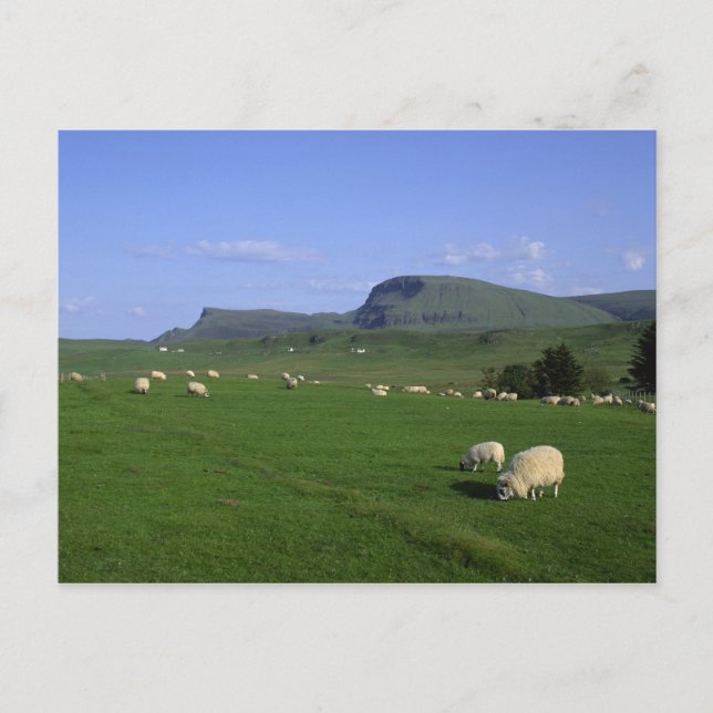 Cartão Postal As Montanhas Quiraing, Ilha de Skye, Highlands, (Frente)