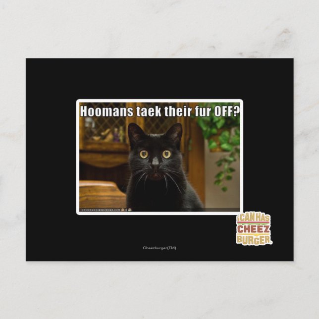 Cartão Postal As mulheres pegam pelo lá fora? (Frente)