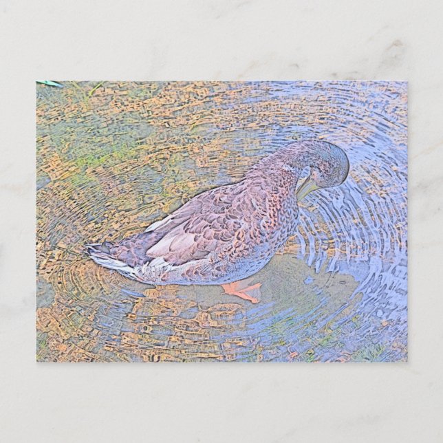 Cartão Postal As ondulações (Frente)