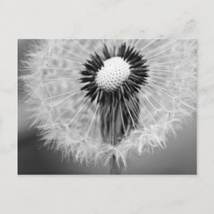 Cartão Postal As sementes de amanhã