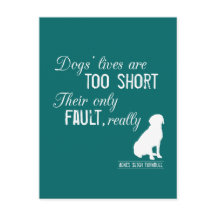 As Vidas Dos Cães São Muito Curtas, Sua Única Falh