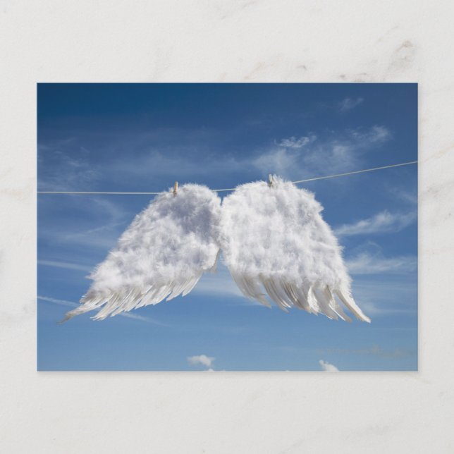Cartão Postal Asas de anjo de secagem. (Frente)