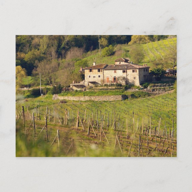 Cartão Postal Aschuito, uma fazenda de trabalho que aceita hóspe (Frente)