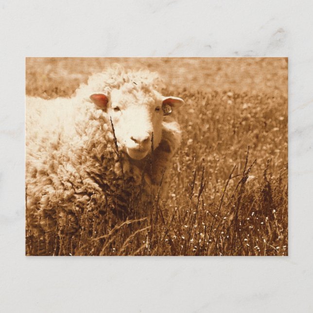 Cartão Postal Ashley em Sepia (Frente)