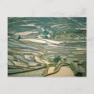 Cartão Postal Ásia, China. Terraces de arroz inundadas perto de