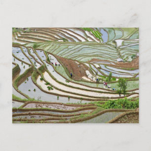 Cartão Postal Ásia, China, Yunnan, Jinping. Pessoas Yi nativas