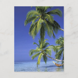 Cartão Postal Ásia, Ilhas Maldives. Homem na rede