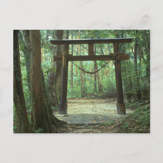 Cartão Postal Ásia, Japão, Kagoshima, Yakushima, Montanha (Frente)