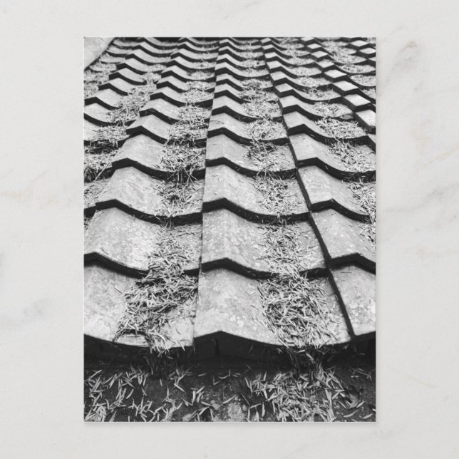 Cartão Postal Ásia, Japão, Miyajima. Detalhes do telhado de argi (Frente)