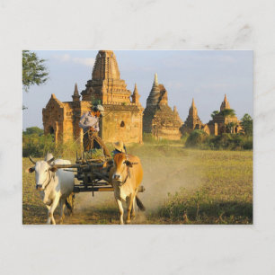 Cartão Postal Ásia, Mianmar (Birmânia), Bagan (Pagan). Um carr