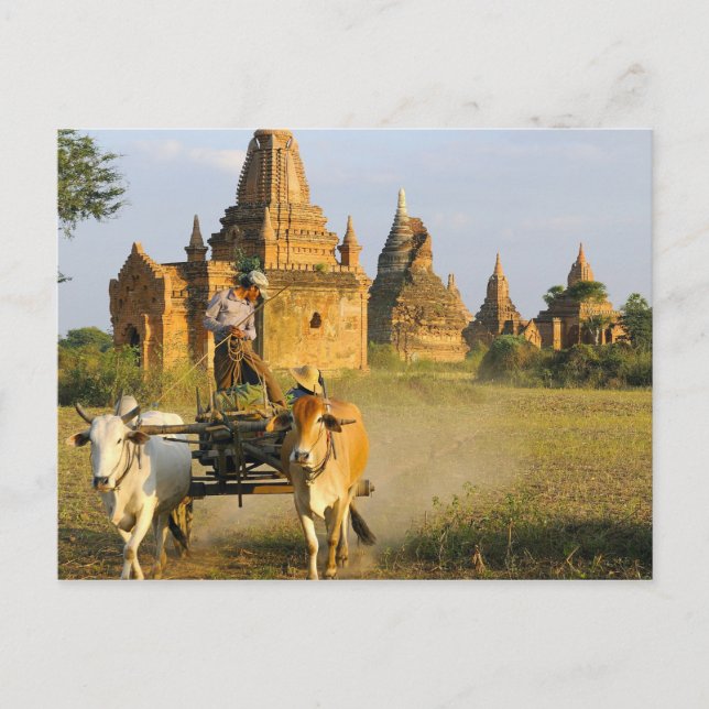 Cartão Postal Ásia, Mianmar (Birmânia), Bagan (Pagan). Um carrin (Frente)