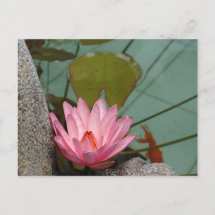 Cartão Postal Ásia, Vietnã. Lírio de água em um lago de templo