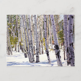 Cartão Postal Aspen Árvores na Floresta