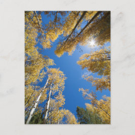 Cartão Postal Aspen está por toda a parte