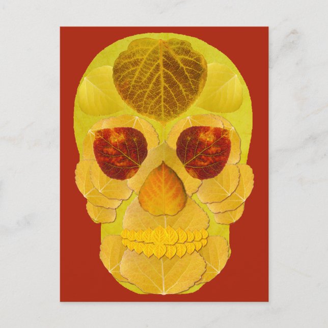 Cartão Postal Aspen Folha Skull 1 (Frente)