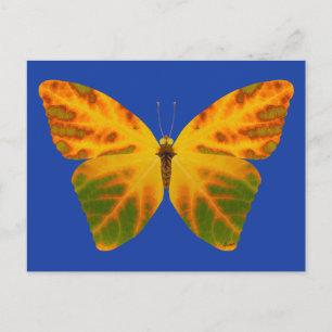 Cartão Postal Aspen Leaf Butterfly 1