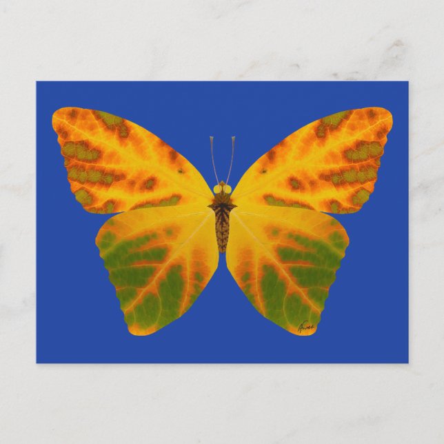 Cartão Postal Aspen Leaf Butterfly 1 (Frente)