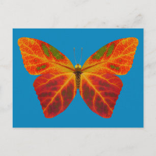 Cartão Postal Aspen Leaf Butterfly 2