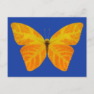 Cartão Postal Aspen Leaf Butterfly 3