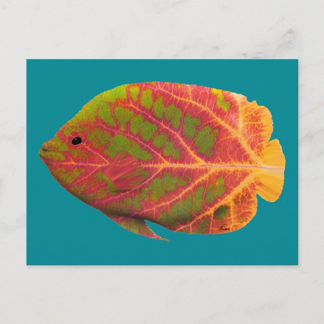 Cartão Postal Aspen Peixe Tropical 1 (Frente)
