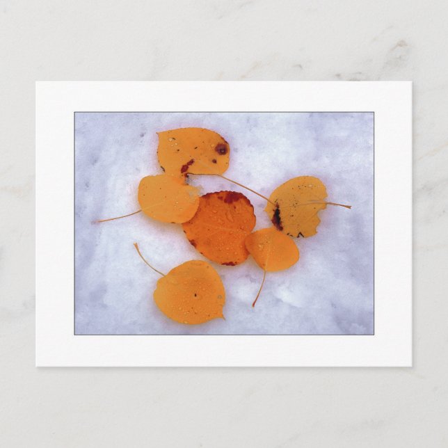 Cartão Postal "Aspensos de Neve" (Frente)