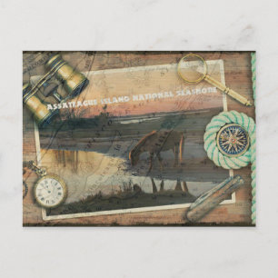 Cartão Postal Assateague/Chincoteague