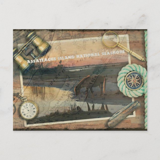 Cartão Postal Assateague/Chincoteague (Frente)