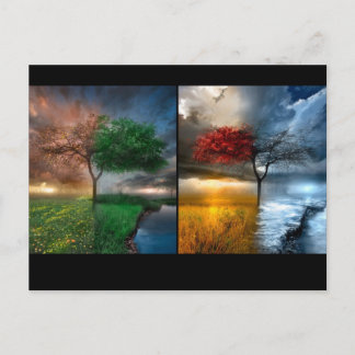 Cartão Postal Assentos