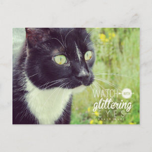Cartão Postal Assista a Glittering Eyes Cat