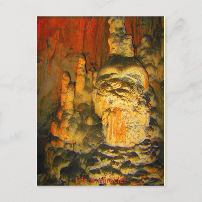 Cartão Postal ASSISTENTE DA CAVE - Cartão-postal (Frente)